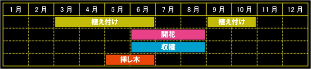 栽培カレンダー