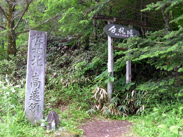 分杭峠