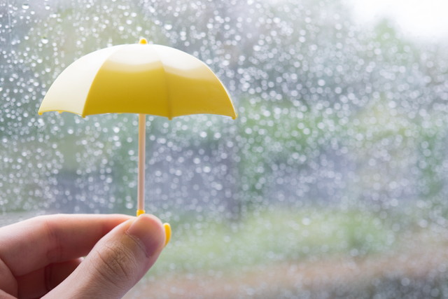 小雨の日が最適