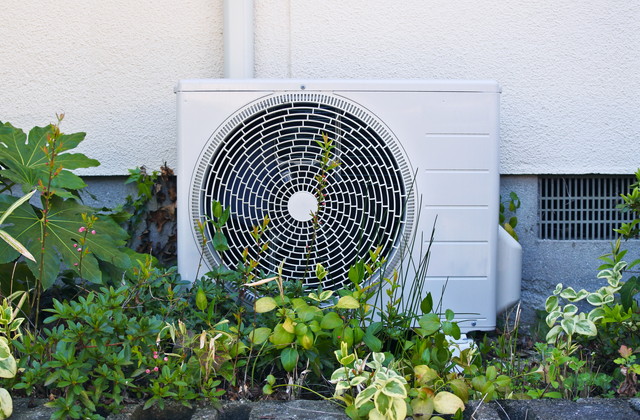 室外機と雑草