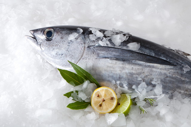 冷凍された魚
