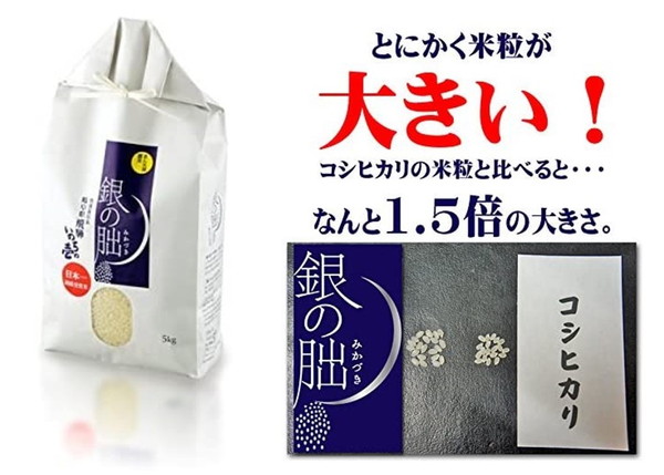 いのちの壱