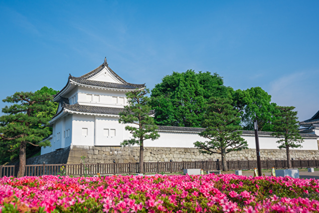 京都 二条城の東南隅櫓とサツキの花