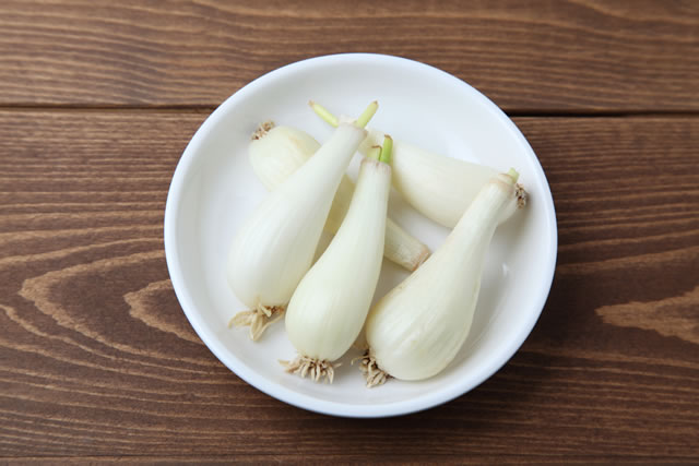 皿に入ったらっきょう